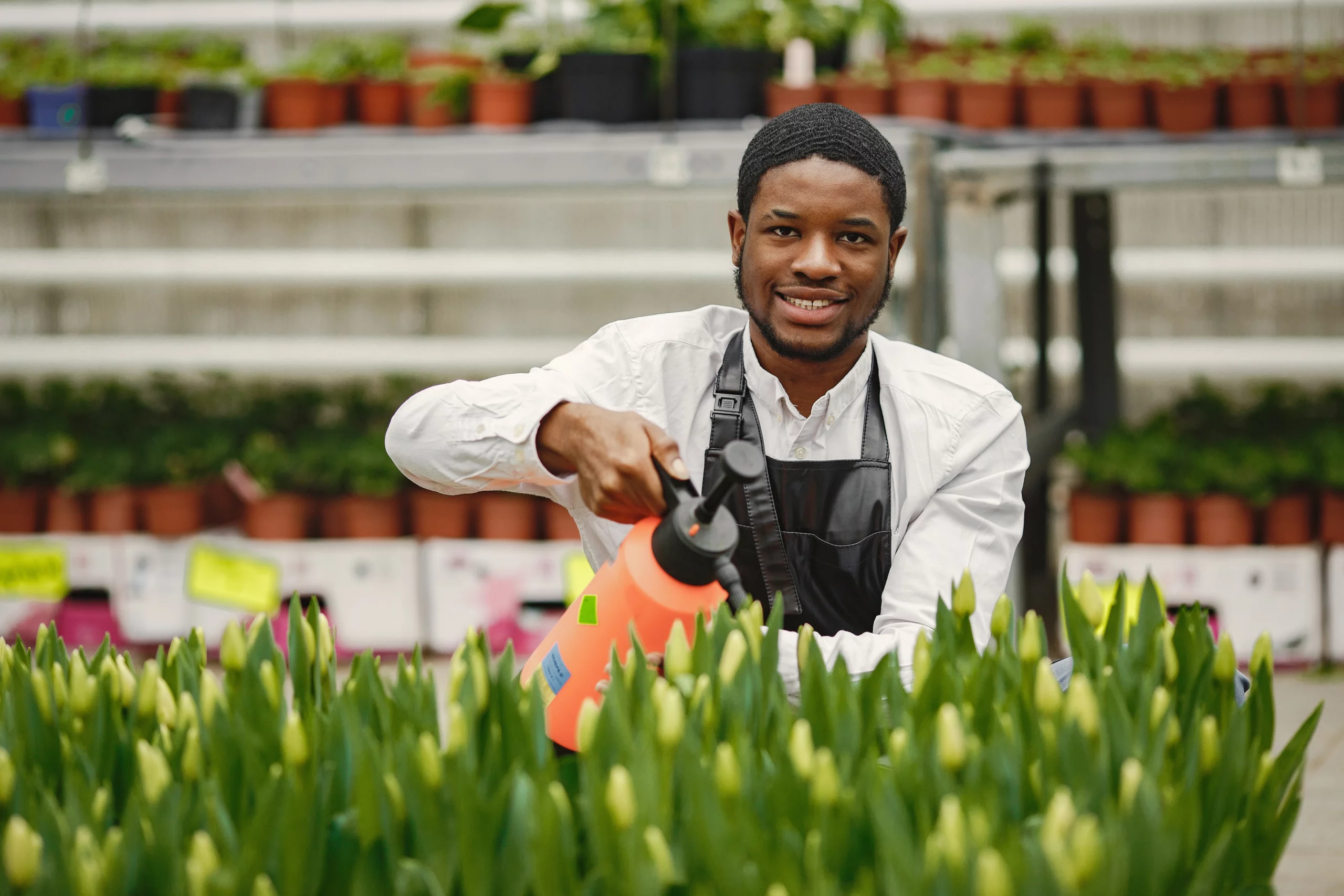 african-gardener-guy-gardener-with-watering-can-flower-beds
