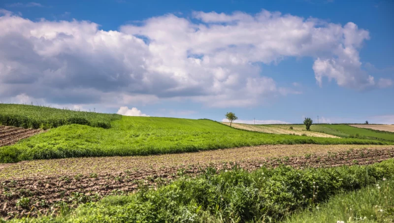 beautiful-spring-landscape-and-cloudy-sky-2025-03-08-03-23-15-utc beautiful-spring-landscape-and-cloudy-sky-2025-03-08-03-23-15-utc