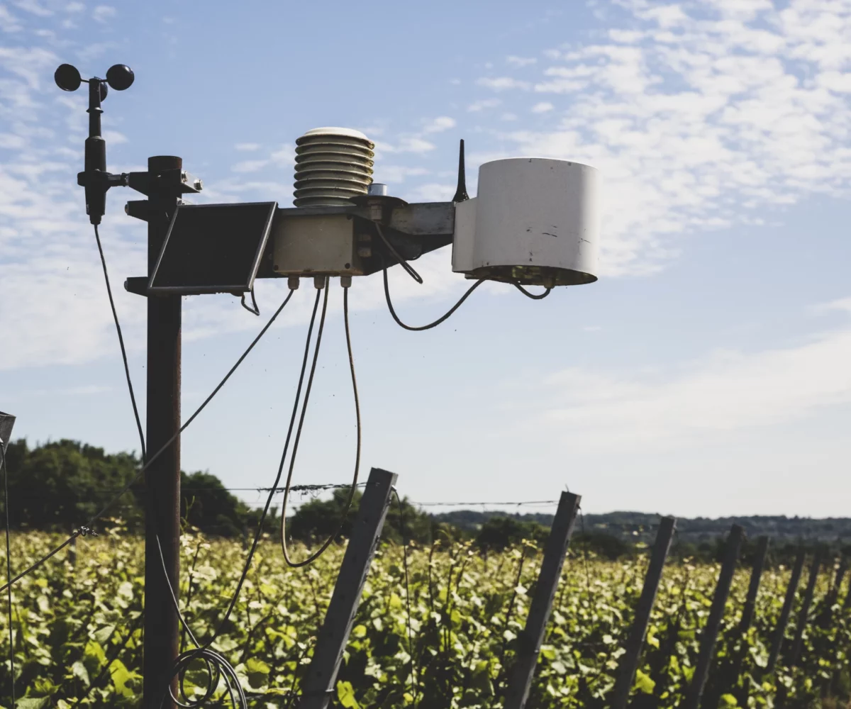 close-up-of-weather-station-on-a-vineyard-2025-04-05-02-53-56-utc close-up-of-weather-station-on-a-vineyard-2025-04-05-02-53-56-utc