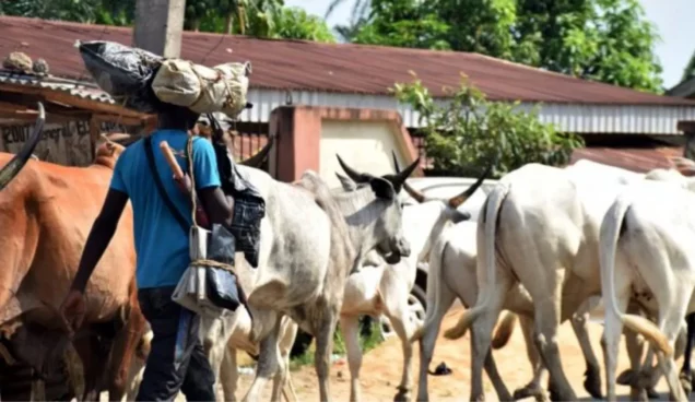 Farmer Herder Clash (The Top Farmer News )
