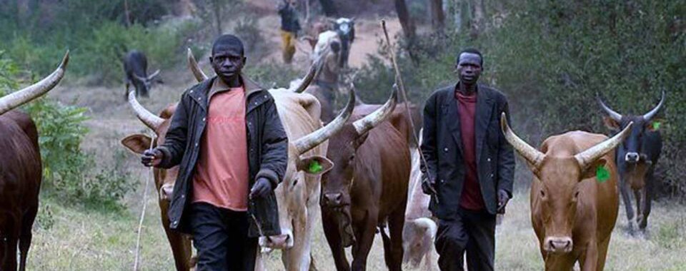 Herdsmen in Forest (The Top Farmer )