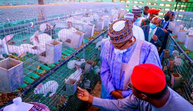 President-Muhammadu-Buhari-commissions-farm-estate-in-Daura-Katsina-State (The Top Farmer)