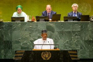 UNGA-Nigeria-1068x712 (The Top Farmer)